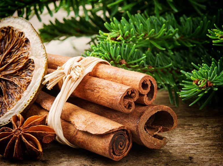 Cinnamon sticks, dried orange and aniseed