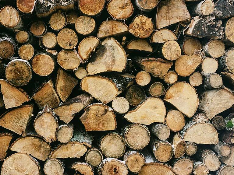 Environmental Benefits of Timber