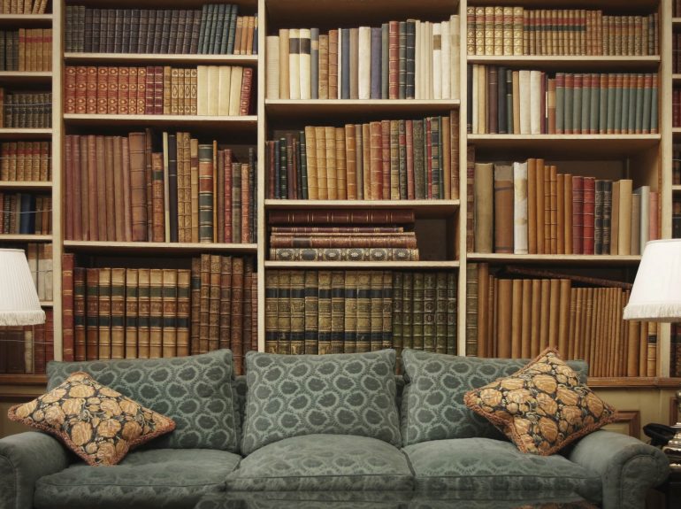 Comfortable sofa in home library